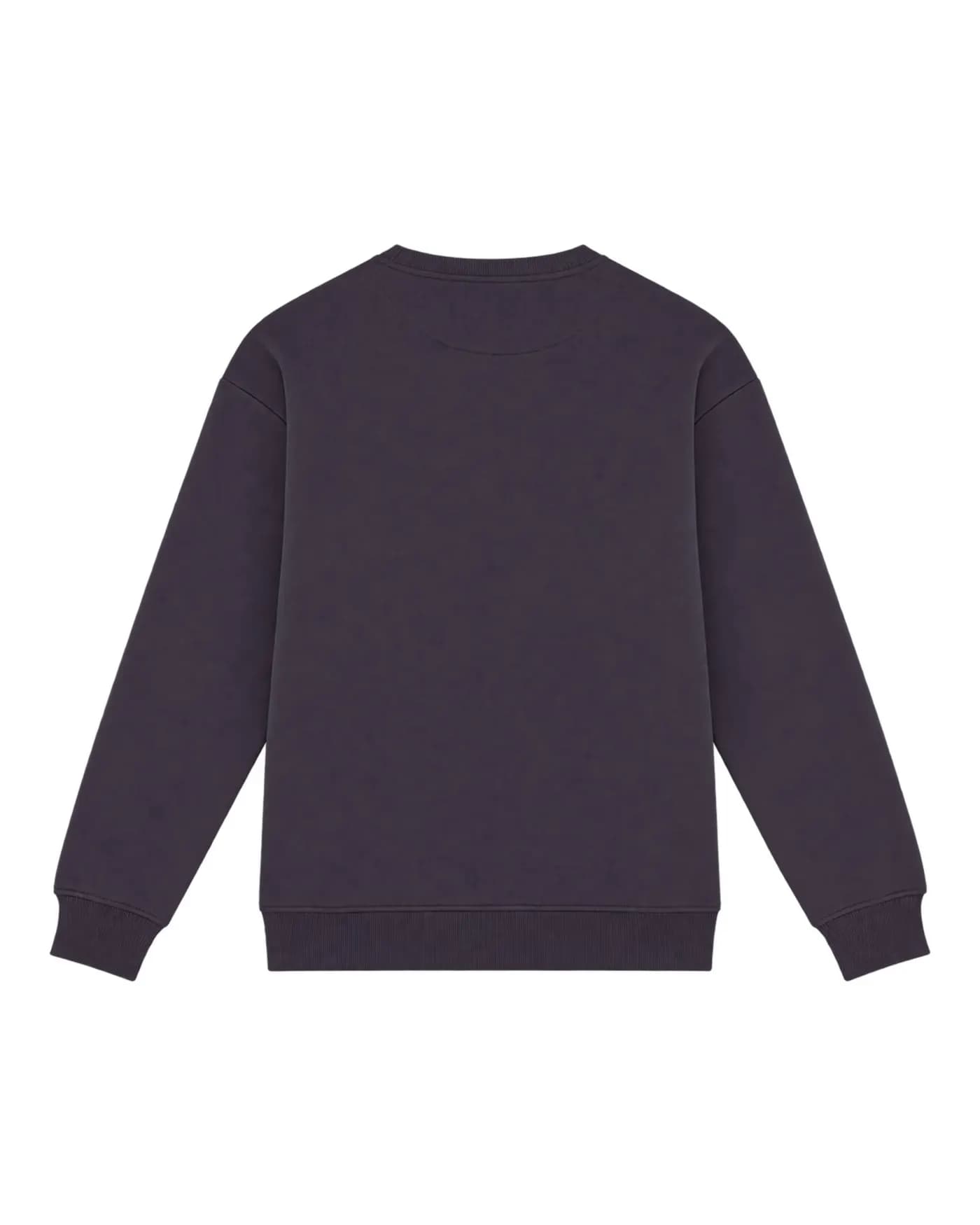 Slogan Rêve, ose et agis imprimé en rose dans le dos d’un sweat marine, sweat nu